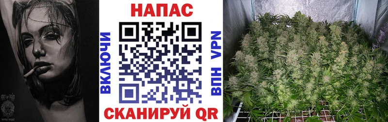 Где купить наркотики Кирово-Чепецк СОЛЬ  Псилоцибиновые грибы  ГАШ  Меф  Метадон  Конопля  КОКАИН  АМФ 