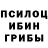 Галлюциногенные грибы GOLDEN TEACHER Alex Millers