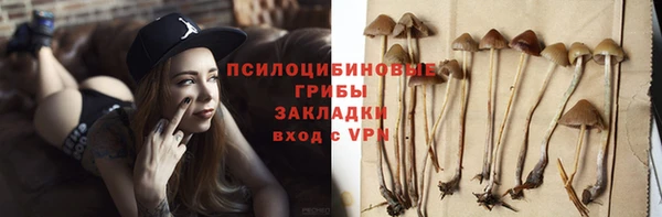МДПВ Всеволожск