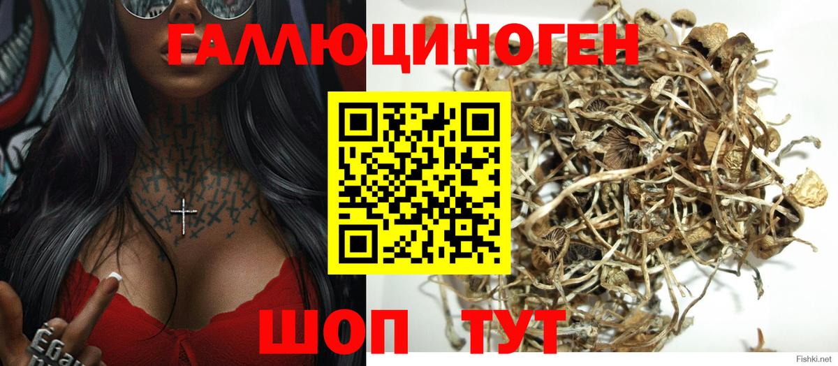 Галлюциногенные грибы прущие грибы  Вход с VPN  Псилоцибиновые грибы MAGIC MUSHROOMS  Кирово-Чепецк 