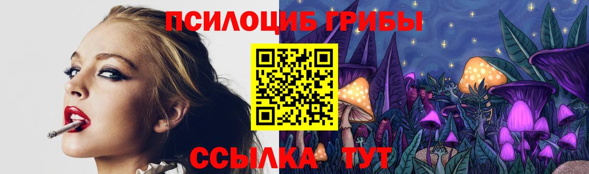 Псилоцибиновые грибы GOLDEN TEACHER Кирово-Чепецк