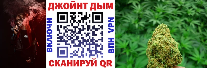 Конопля сатива  Кирово-Чепецк 
